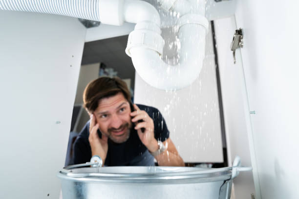  Williamston, MI Plumbing Pros