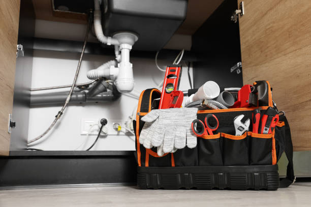Best Sprinkler Systems  in Williamston, MI