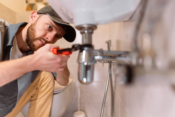 Best Drain Cleaning Services  in Williamston, MI