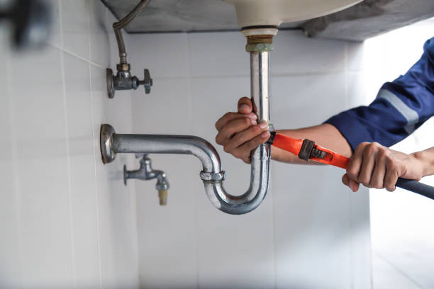 Best Commercial Plumbing Services  in Williamston, MI