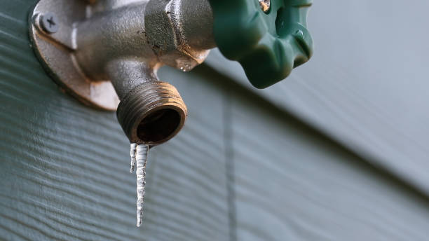Williamston, MI Plumbing Company